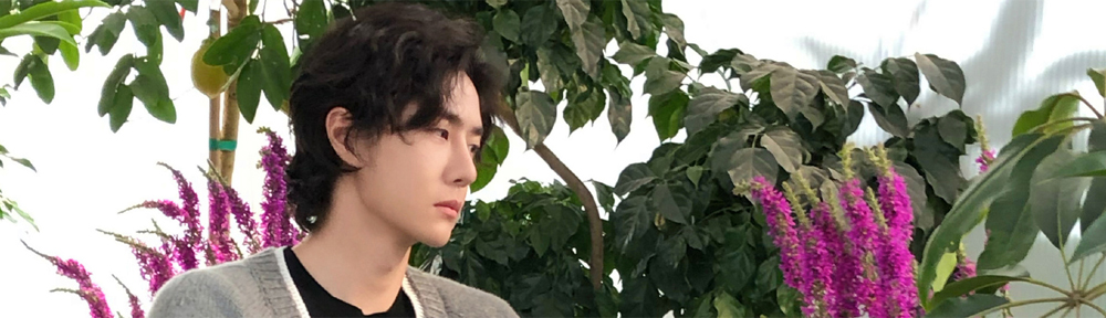 The Wisdom of Wang Yibo